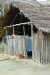 A hut in Sacapapa with nets hung for tonight's use.