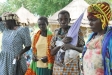 Malaria is endemic to tropical regions