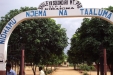 ST_PIO Malaria is most common and a serious public health threat in warm in tropical and subtropical countries.