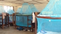 Kizwite - ...at a cost of only US$5 per net.