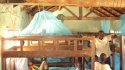 Itigi Rel: ...and in no time, all of the bed spaces in the dormitory are protected.