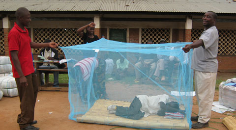 Malaria