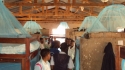 Chikuyu: The LLINs are quickly installed in the dormitories.