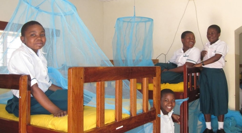 Malaria