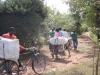 The caravan sets out.