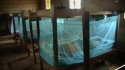 Nyangao Sec - Students try out their new nets to make sure they are properly covered.