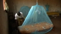 FARM 17 : One young boy carefully tucks his net around his bed to ensure that he will be fully protected.
