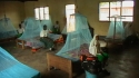 FARM 17 : With their nets installed, these students now have the best form of malaria protection...