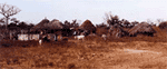 SmileGambia