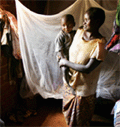 AMREF