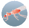 AMREF: Malaria