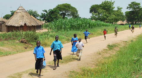 Malaria