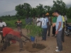 Follow-up: Planting a tree in the local village.