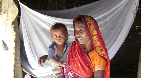 Malaria