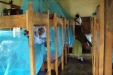 Bereko School: The hard work of the students means that the bed spaces are quickly protected.