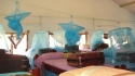 Net Manyoni PIC: LLINs hang above all beds in this dormitory.